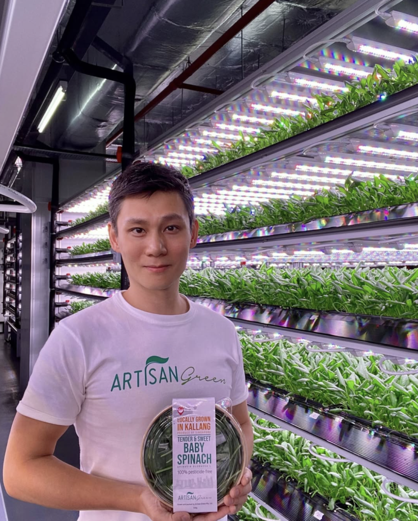 artisan green - hydroponic vertical farm