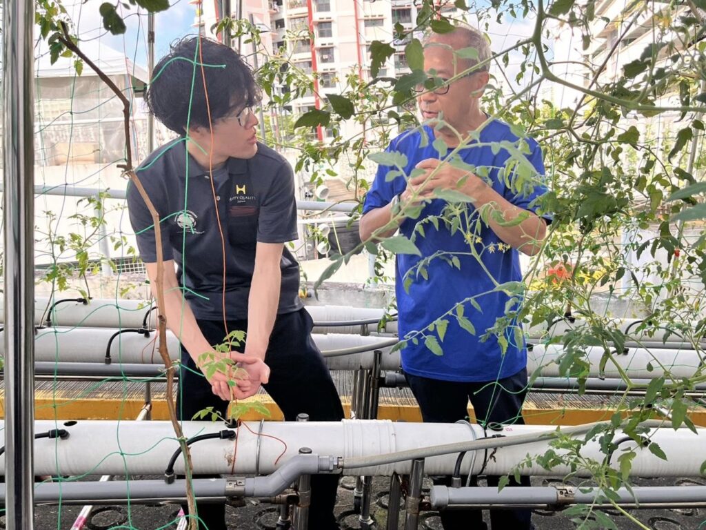 Growing Beyond Boundaries: Webster Tham on Tomato Town’s Journey in Urban Farming Innovation