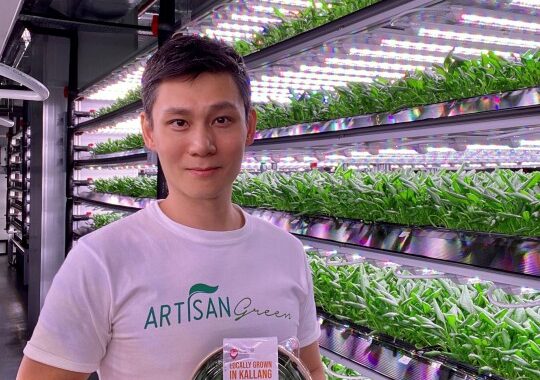 Sowing Seeds of Success: Ray Poh and the Evolution of Artisan Green