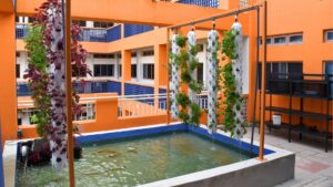 Aquaponics