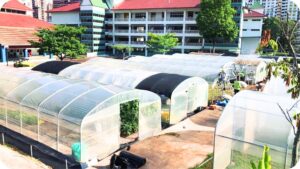 Greenhouses