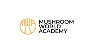 Mushroom World Academy